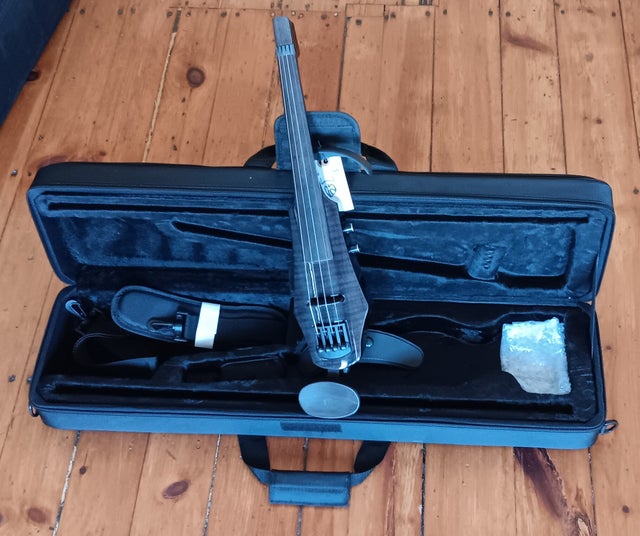 Orchestral Instruments | Violin, Viola, Cello & More | String